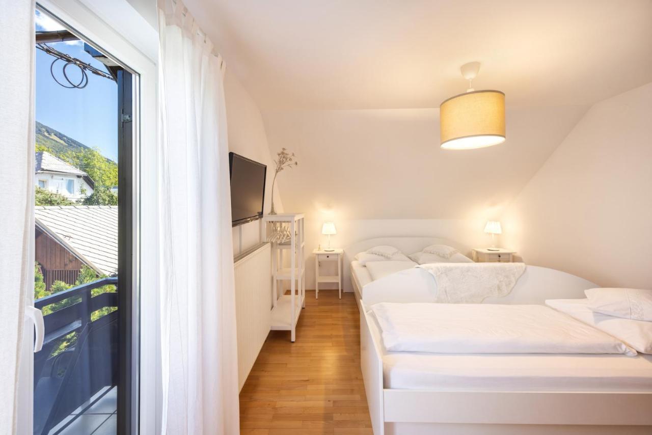 Ladka Apartment Begunje